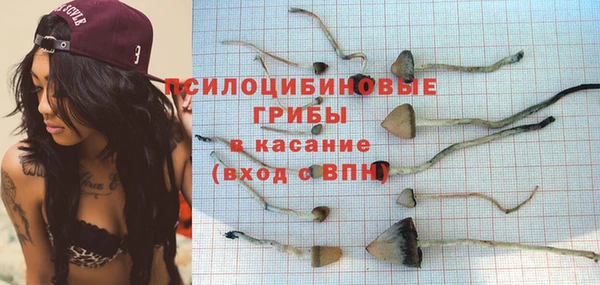 ГАЛЛЮЦИНОГЕННЫЕ ГРИБЫ Алексеевка